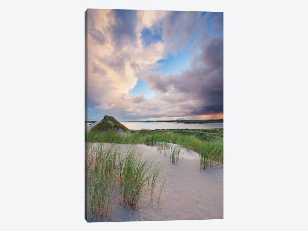 Sand Dunes, Enniscrone, County Sligo, Ireland by Gareth McCormack 1-piece Canvas Print