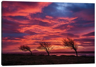 Sunset Over The Moy Estuary I, County Sligo, Ireland Canvas Art Print