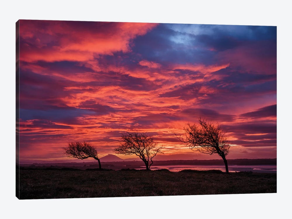 Sunset Over The Moy Estuary I, County Sligo, Ireland by Gareth McCormack 1-piece Canvas Artwork