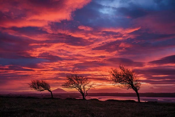 Sligo: Sunset Over The Moy Estuary I, County Sligo, Ireland by Gareth McCormack