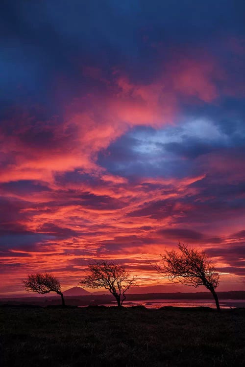 Sunset Over The Moy Estuary II, County Sligo, Ireland  by Gareth McCormack wall art