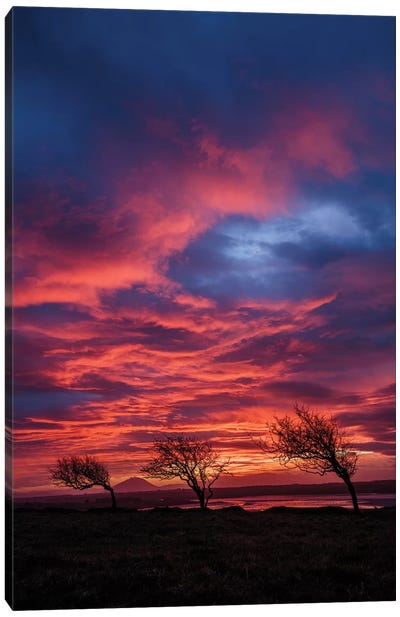 Sunset Over The Moy Estuary II, County Sligo, Ireland  Canvas Art Print - Ireland Art