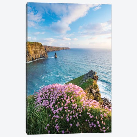 Thrift On The Edge I, Cliffs Of Moher, County Clare, Ireland Canvas Print #GAR193} by Gareth McCormack Canvas Print