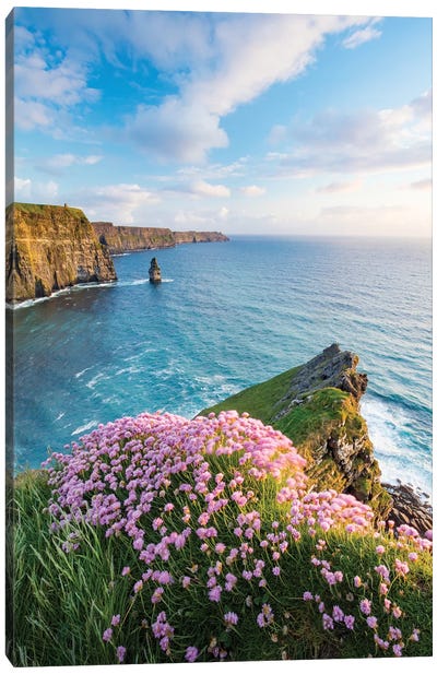 Thrift On The Edge I, Cliffs Of Moher, County Clare, Ireland Canvas Art Print - Cliff Art