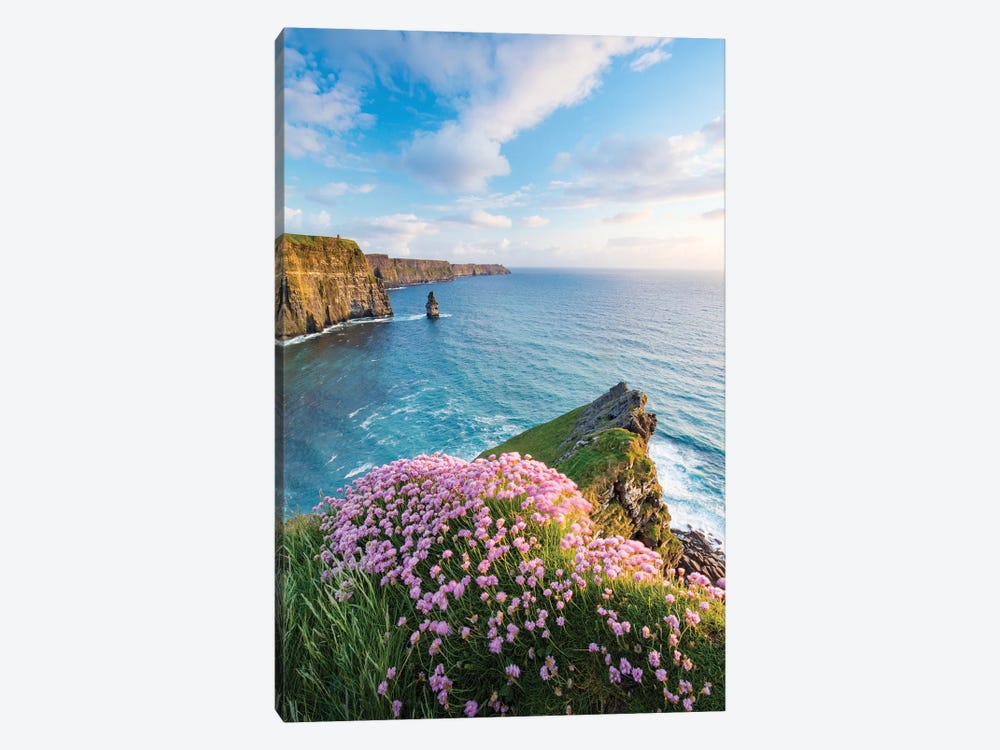 Thrift On The Edge I, Cliffs Of Moher, County Clare, Ireland by Gareth McCormack 1-piece Art Print