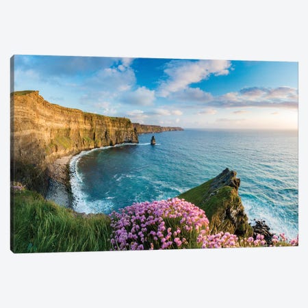 Thrift On The Edge II, Cliffs Of Moher, County Clare, Ireland Canvas Print #GAR194} by Gareth McCormack Canvas Wall Art