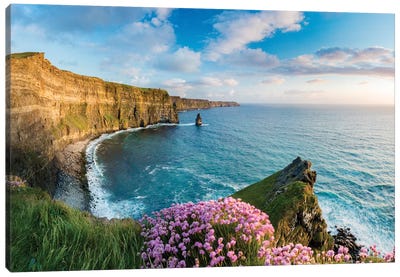 Thrift On The Edge II, Cliffs Of Moher, County Clare, Ireland Canvas Art Print