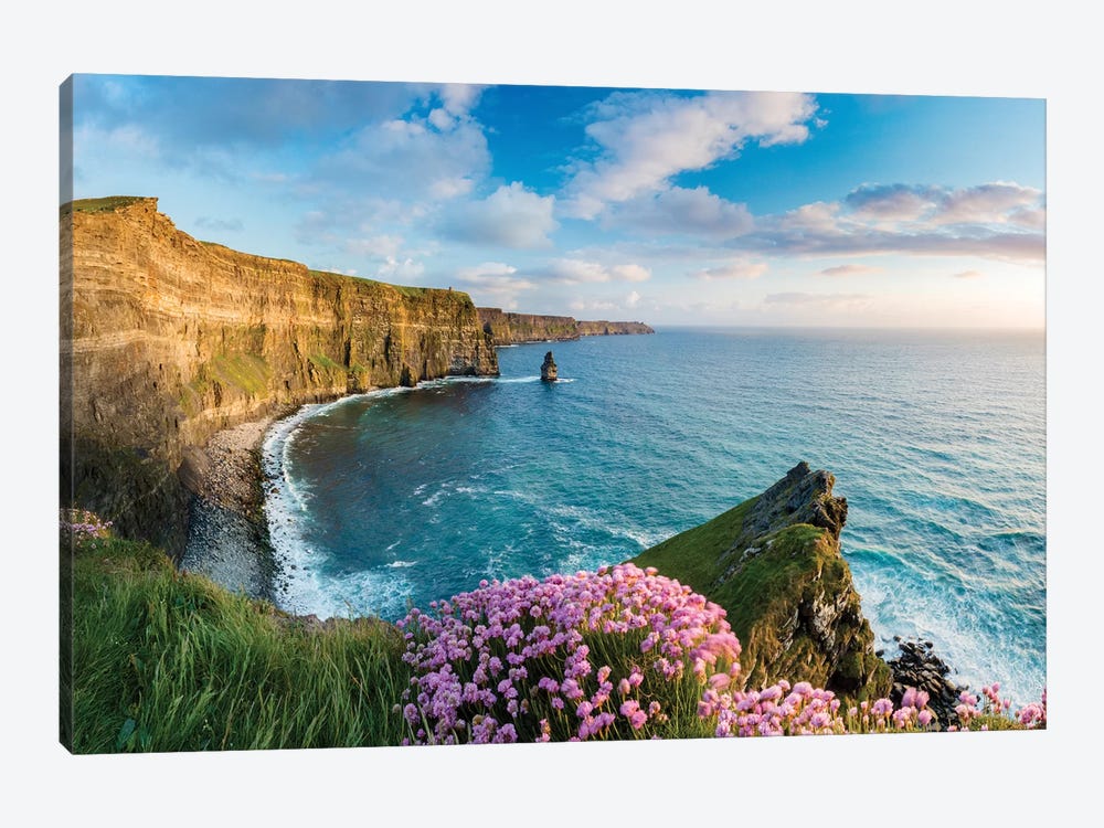 Thrift On The Edge II, Cliffs Of Moher, County Clare, Ireland by Gareth McCormack 1-piece Canvas Artwork