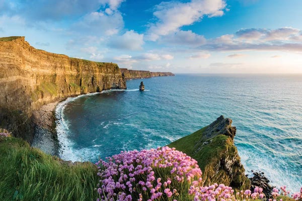 Cliffs: Thrift On The Edge II, Cliffs Of Moher, County Clare, Ireland by Gareth McCormack
