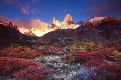 Autumn Foliage, Monte Fitz Roy, Parque Nacional los Glaciares, Patagonia, Argentina by Gareth McCormack framed canvas print