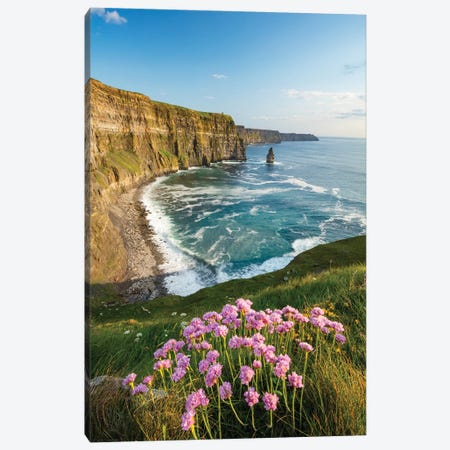 Thrift On The Cliffs Of Moher I Canvas Print #GAR203} by Gareth McCormack Canvas Print