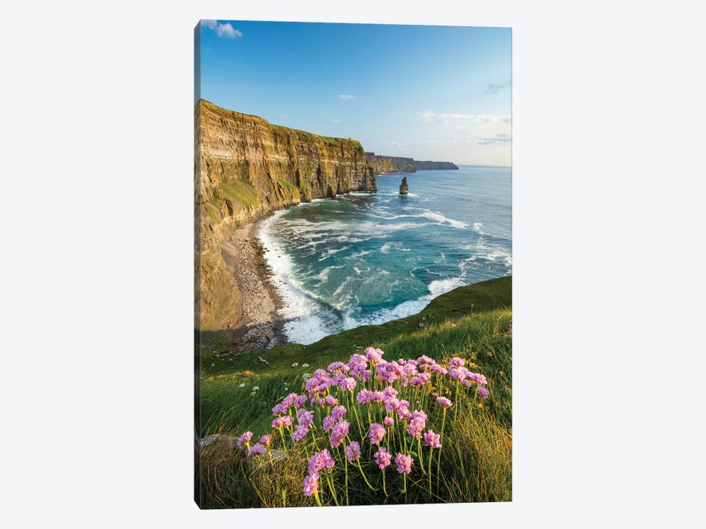 Thrift On The Cliffs Of Moher I 1-piece Canvas Art