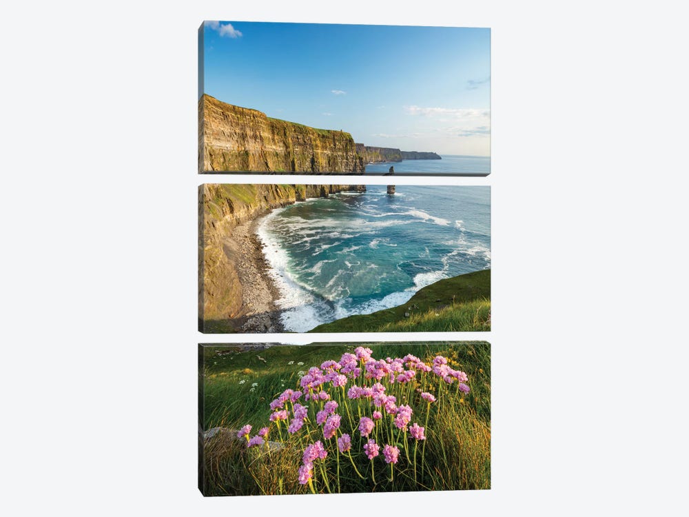 Thrift On The Cliffs Of Moher I by Gareth McCormack 3-piece Canvas Artwork