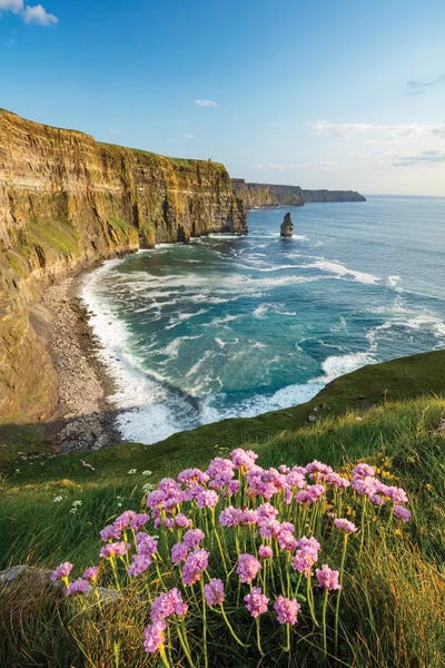 Cliffs: Thrift On The Cliffs Of Moher I by Gareth McCormack
