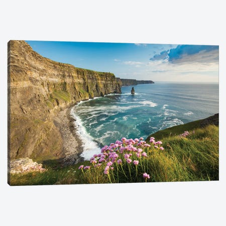 Thrift On The Cliffs Of Moher II Canvas Print #GAR204} by Gareth McCormack Canvas Artwork