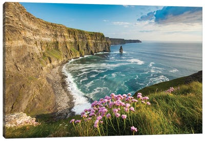 Thrift On The Cliffs Of Moher II Canvas Art Print - Wonders of the World