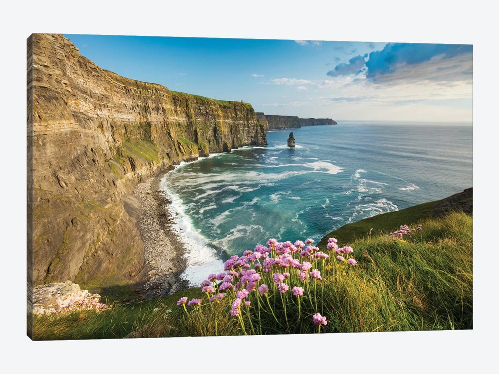 Thrift On The Cliffs Of Moher II by Gareth McCormack 1-piece Canvas Art Print