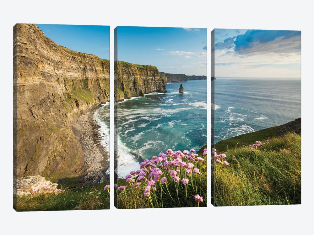 Thrift On The Cliffs Of Moher II by Gareth McCormack 3-piece Canvas Print
