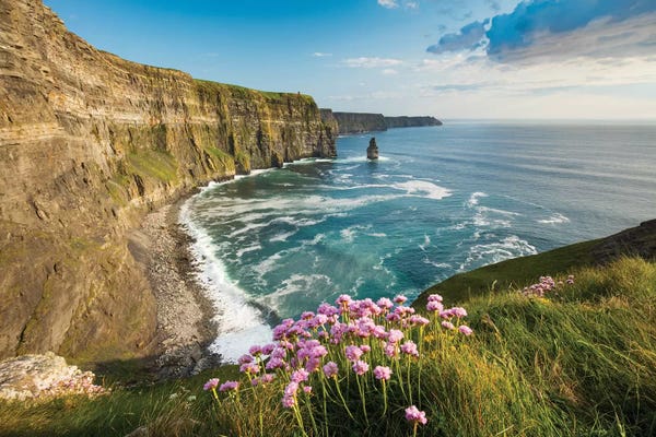 Coastlines: Thrift On The Cliffs Of Moher II by Gareth McCormack