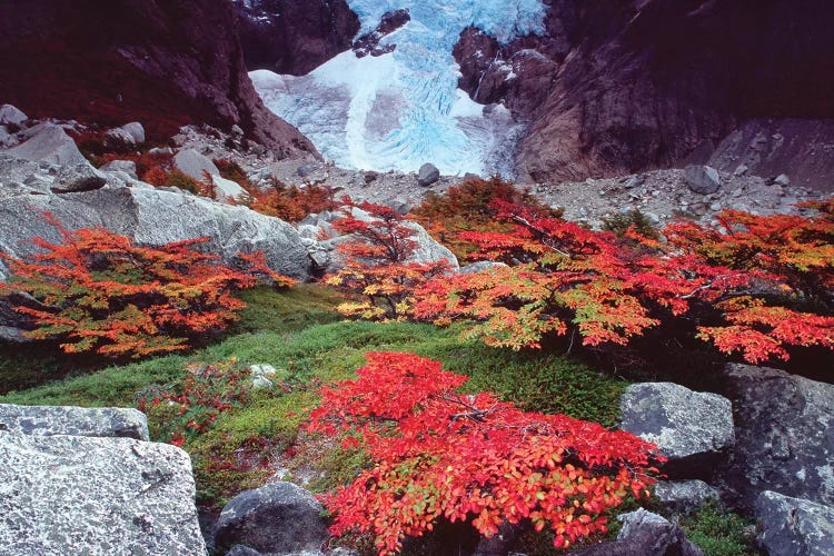 Patagonia Ice Fall by Gareth McCormack wall art