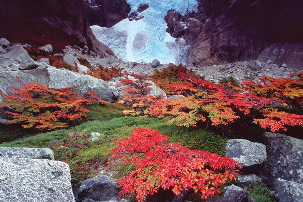 Argentina: Patagonia Ice Fall by Gareth McCormack
