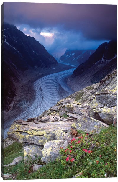 Mer de Glace and Alpenrose Canvas Art Print - Glacier & Iceberg Art