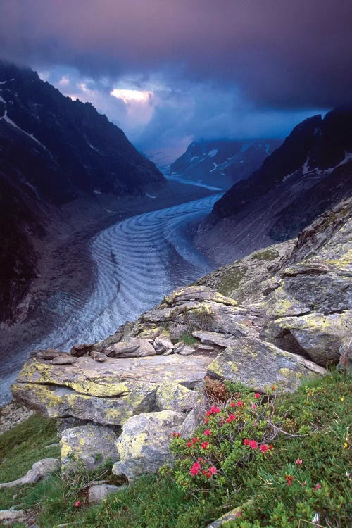 Mer de Glace and Alpenrose