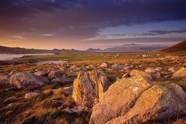 Dingle Peninsula Summer Evening, Ireland by Gareth McCormack wall art