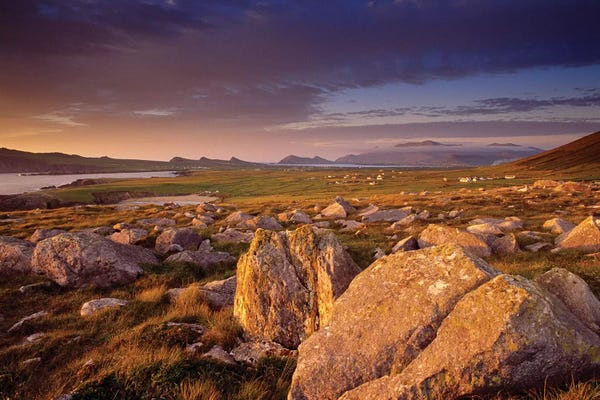 Ireland: Dingle Peninsula Summer Evening, Ireland by Gareth McCormack