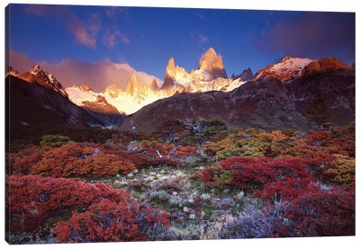 Autumn Foliage, Monte Fitz Roy, Parque Nacional los Glaciares, Patagonia, Argentina Canvas Art Print - Scenic Fall