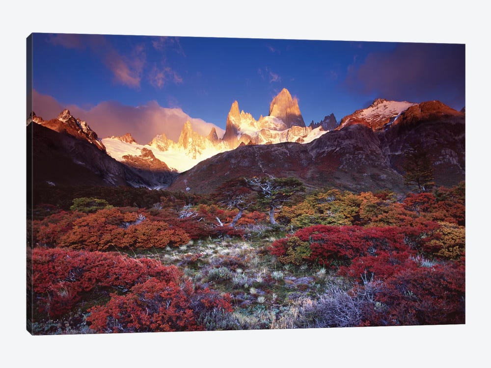 Autumn Foliage, Monte Fitz Roy, Parque Nacional los Glaciares, Patagonia, Argentina by Gareth McCormack 1-piece Canvas Artwork