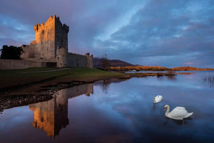 Dawn Reflection, Ross Castle, Killarney National Park, County Kerry, Munster Province, Republic Of Ireland by Gareth McCormack wall art