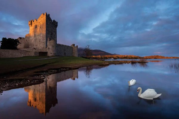 Dawn Reflection, Ross Castle, Killarney National Park, County Kerry, Munster Province, Republic Of Ireland
