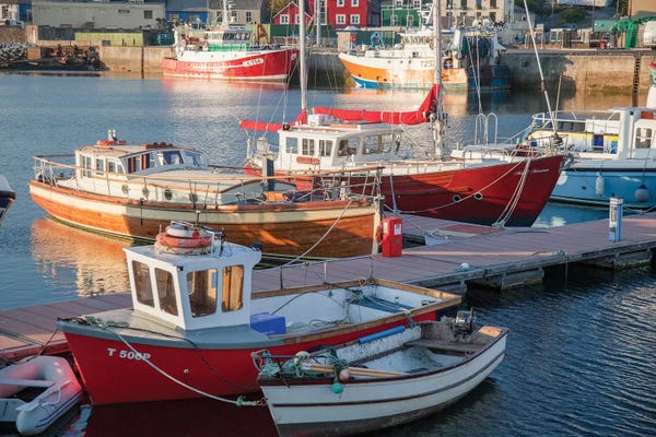 Nautical: Fishing Boats I, Dingle Harbour, County Kerry, Munster Province, Republic Of Ireland by Gareth McCormack