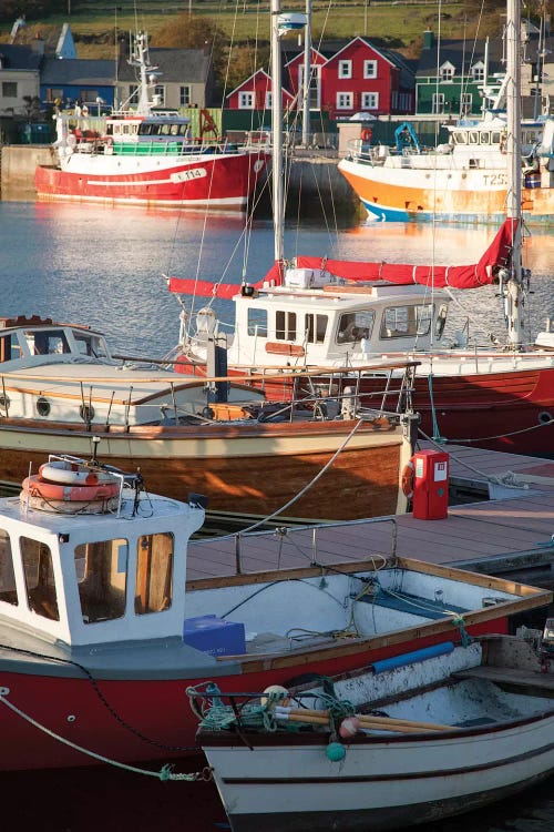 Fishing Boats II, Dingle Harbour, County Kerry, Munster Province, Republic Of Ireland