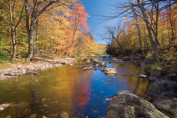 Gareth McCormack: Autumn Landscape, Ellis River, White Mountains, New Hampshire, USA by Gareth McCormack
