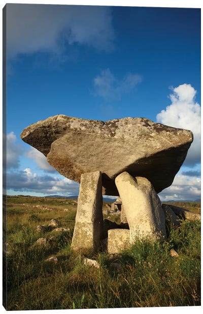 Kilcooney Dolmen II, County Donegal, Ulster Province, Republic Of Ireland Canvas Art Print - Pantone Color Collections