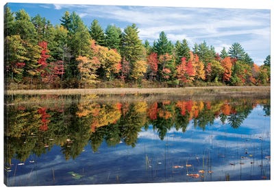 Autumn Reflection I, Ossipee River, Maine, USA Canvas Art Print - River, Creek & Stream Art