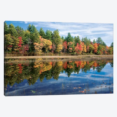 Autumn Reflection I, Ossipee River, Maine, USA Canvas Print #GAR5} by Gareth McCormack Canvas Print