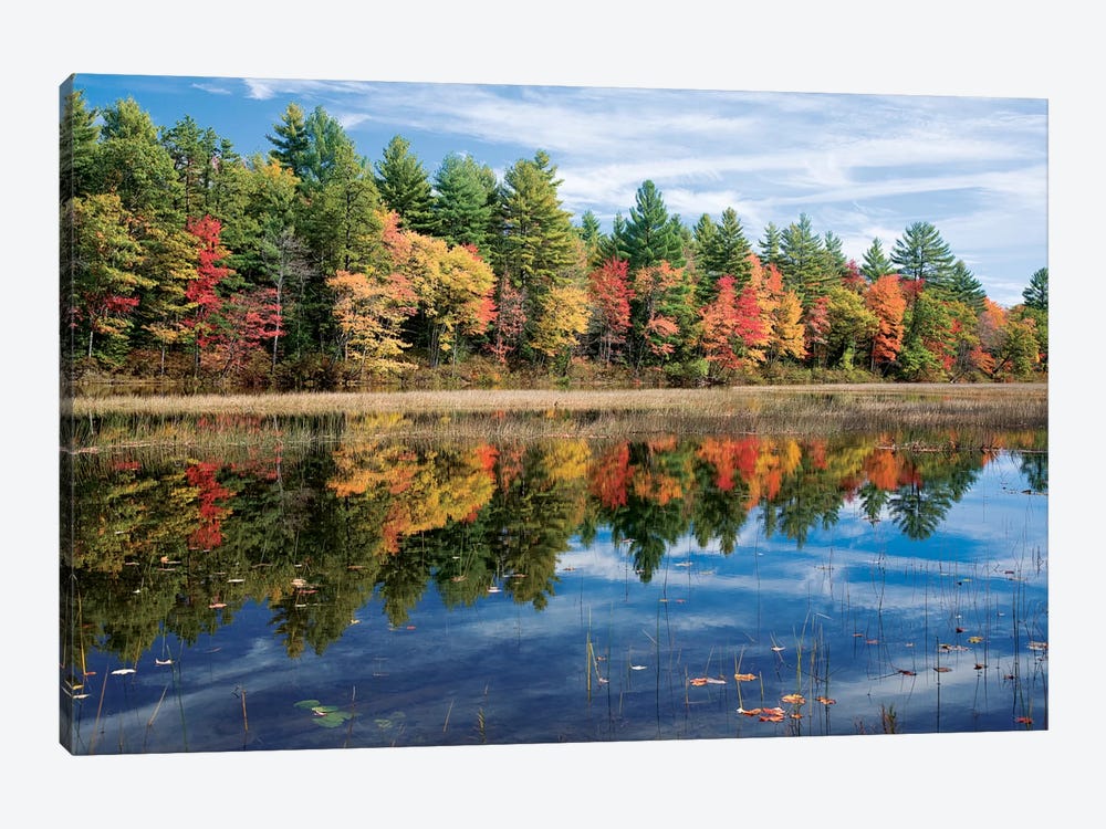 Autumn Reflection I, Ossipee River, Maine, USA by Gareth McCormack 1-piece Canvas Print