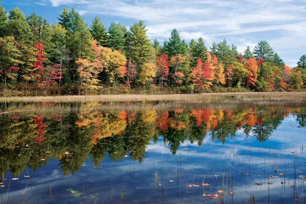Maine: Autumn Reflection I, Ossipee River, Maine, USA by Gareth McCormack