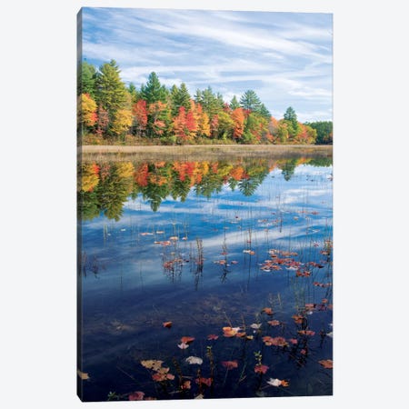 Autumn Reflection II, Ossipee River, Maine, USA Canvas Print #GAR6} by Gareth McCormack Art Print
