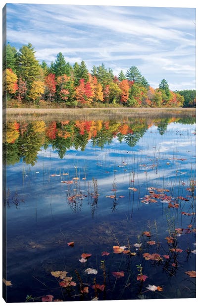 Autumn Reflection II, Ossipee River, Maine, USA Canvas Art Print - River, Creek & Stream Art