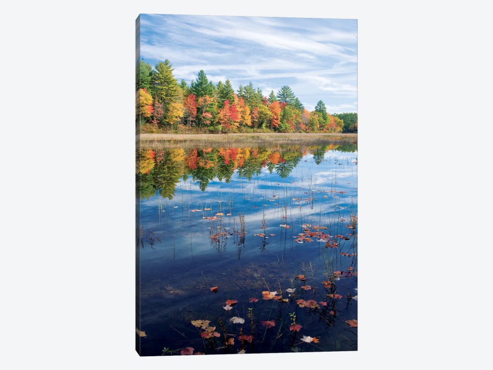 Autumn Reflection II, Ossipee River, Maine, USA by Gareth McCormack 1-piece Canvas Art