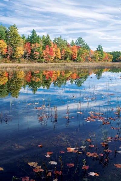 Maine: Autumn Reflection II, Ossipee River, Maine, USA by Gareth McCormack