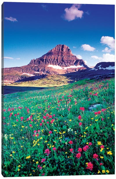Reynolds Mountain, Lewis Range, Rocky Mountains, Glacier National Park, Montana, USA Canvas Art Print - Glacier National Park Art
