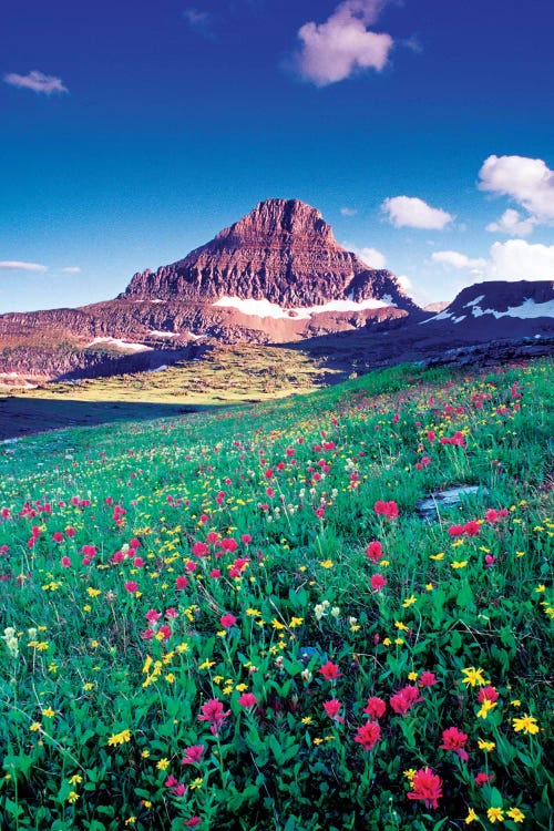 Reynolds Mountain, Lewis Range, Rocky Mountains, Glacier National Park, Montana, USA