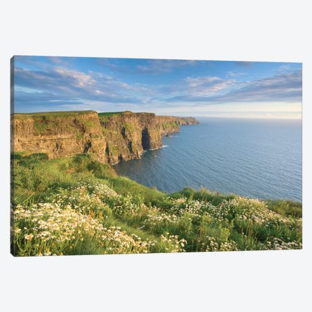 Summer Daisies, Cliffs Of Moher, County Clare, Munster Province, Republic Of Ireland Canvas Print #GAR80} by Gareth McCormack Canvas Wall Art