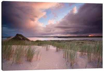 Sunset II, Dunes Of Enniscrone, County Sligo, Connacht Province, Republic Of Ireland Canvas Art Print