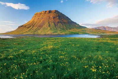 Buttercup Meadow I, Kirkjufell, Grundarfjordur, Snaefellsnes Peninsula, Vesturland, Iceland by Gareth McCormack framed canvas print
